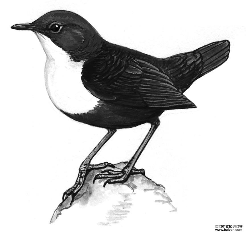 ���ڵ�ͼ��