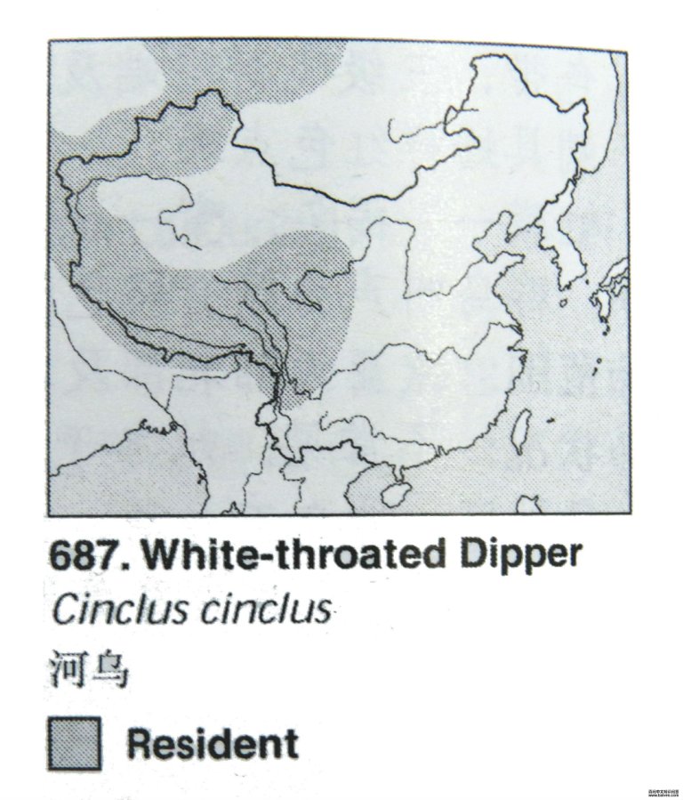 ���ڵĵ����ֲ�ͼ