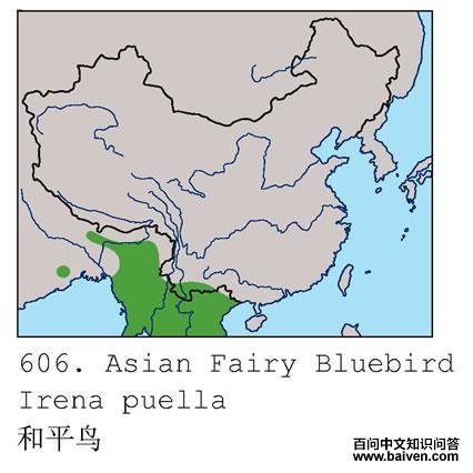 ��ƽ��ĵ����ֲ�ͼ