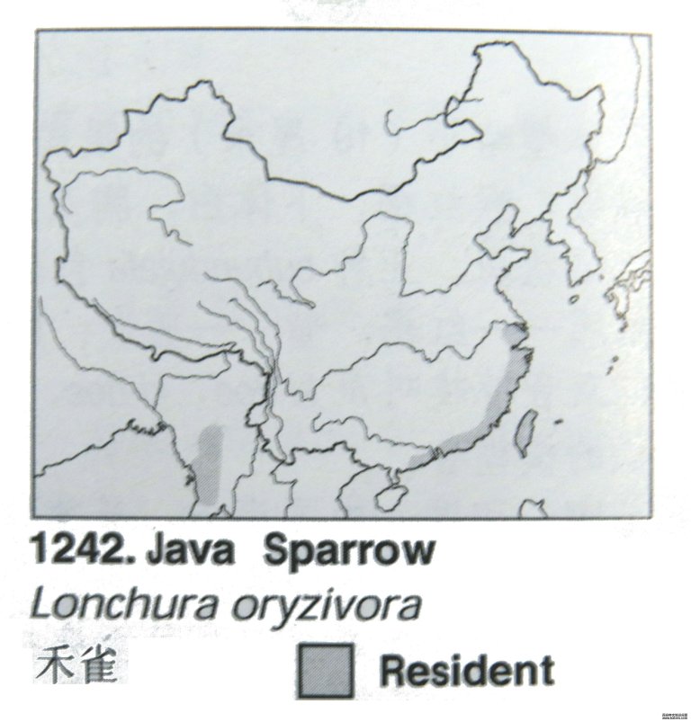 ��ȸ�ĵ����ֲ�ͼ