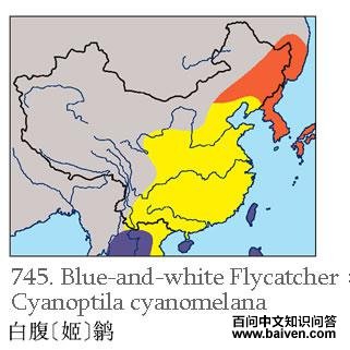 �׸�[��]�l�ĵ����ֲ�ͼ