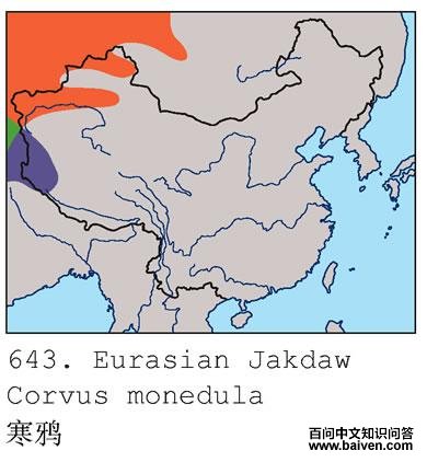 ��ѻ�ĵ����ֲ�ͼ