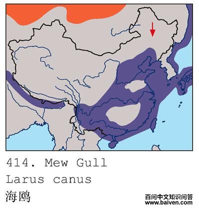 ��Ÿ�ĵ����ֲ�ͼ