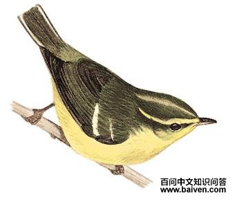 ������ݺ��ͼ��