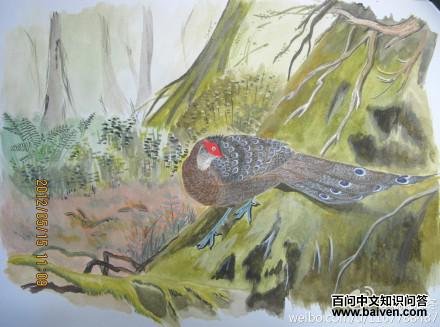 ���Ͽ�ȸ����ͼ��