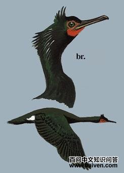 ����˵�ͼ��