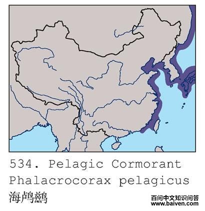 ����˵ĵ����ֲ�ͼ