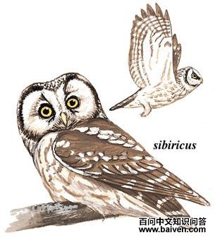 ���^��ͼ��