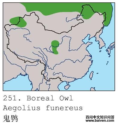 ���^�ĵ����ֲ�ͼ