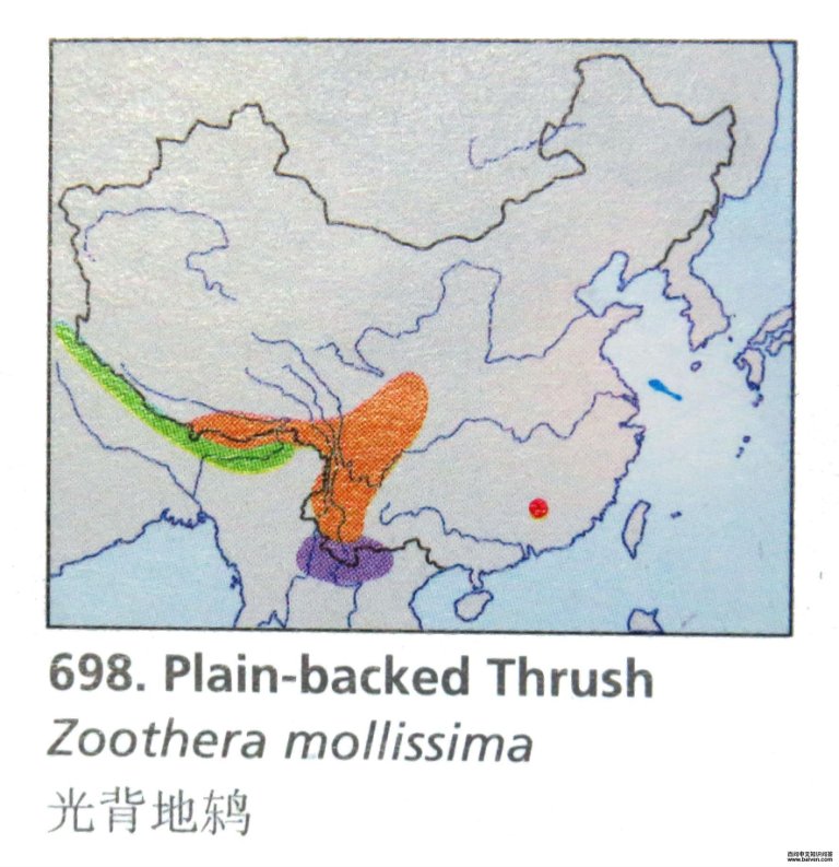 �ⱳ���ĵ����ֲ�ͼ