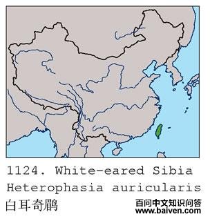 �׶����̵ĵ����ֲ�ͼ