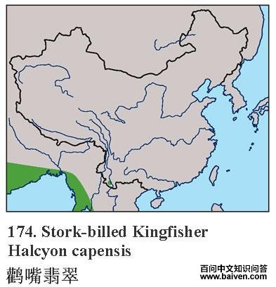 �������ĵ����ֲ�ͼ