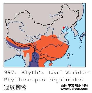 ������ݺ�ĵ����ֲ�ͼ