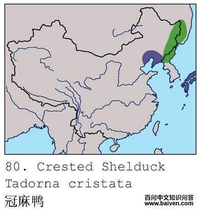 ����Ѽ�ĵ����ֲ�ͼ