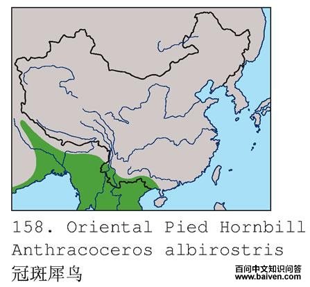 �ڰ�Ϭ��ĵ����ֲ�ͼ