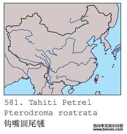 ����Բβ�׵ĵ����ֲ�ͼ