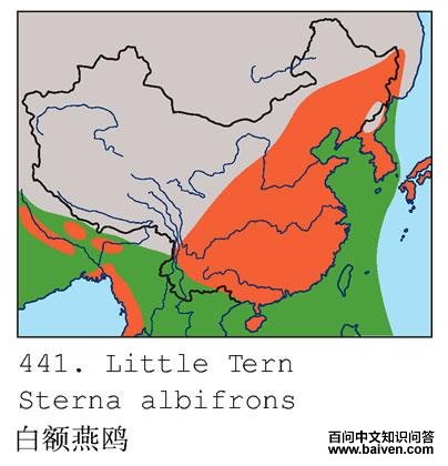 �׶���Ÿ�ĵ����ֲ�ͼ