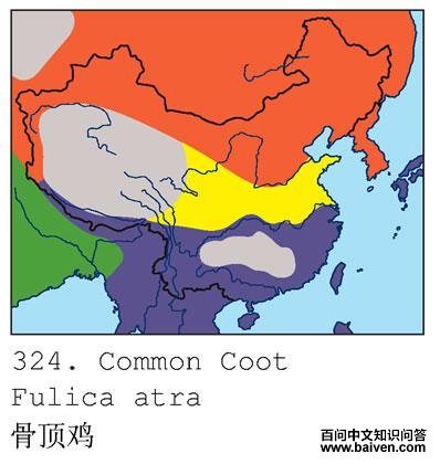 �Ƕ����ĵ����ֲ�ͼ