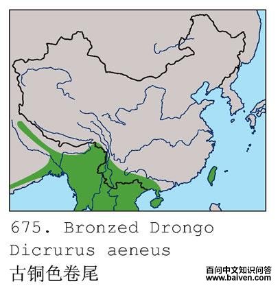 ��ͭɫ��β�ĵ����ֲ�ͼ