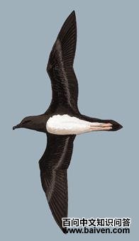 ����Բβ�׵�ͼ��