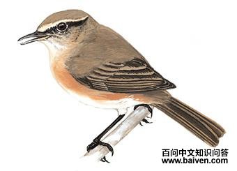 ����ߴզ��ݺ��ͼ��