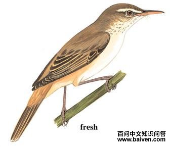 ������έݺ��ͼ��