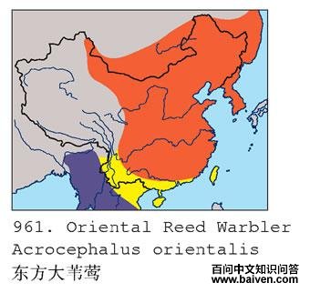 ������έݺ�ĵ����ֲ�ͼ