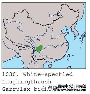 �׵��̵ĵ����ֲ�ͼ