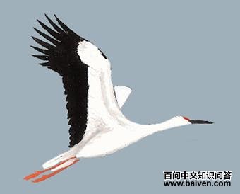 �������ٵ�ͼ��