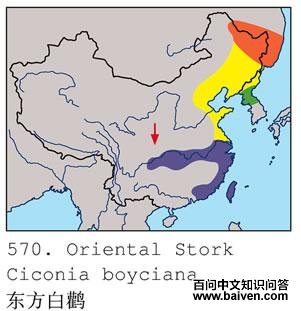 �������ٵĵ����ֲ�ͼ