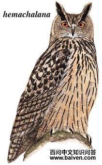 ���^��ͼ��