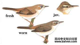 ����έݺ��ͼ��