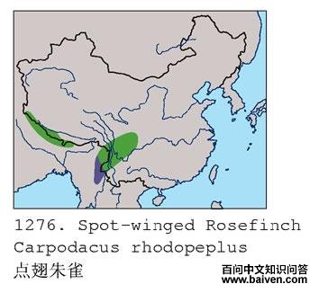 �����ȸ�ĵ����ֲ�ͼ