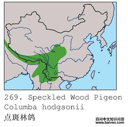 ����ָ�ĵ����ֲ�ͼ