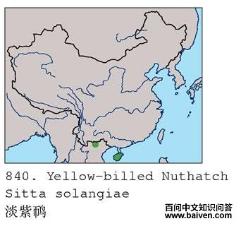 �������ĵ����ֲ�ͼ