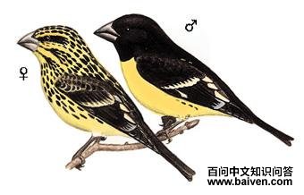 �׵��������ȸ��ͼ��