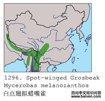 �׵��������ȸ�ĵ����ֲ�ͼ