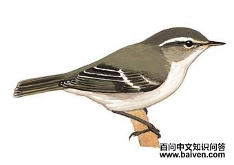 ��ü��ݺ��ͼ��