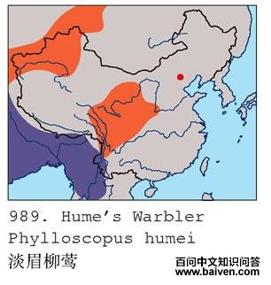 ��ü��ݺ�ĵ����ֲ�ͼ