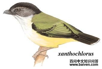 �����V�̵�ͼ��