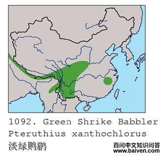 �����V�̵ĵ����ֲ�ͼ