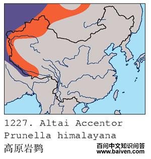 ��ԭ���ҵĵ����ֲ�ͼ