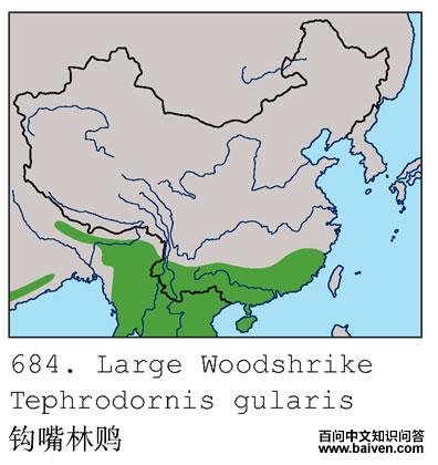 �������V�ĵ����ֲ�ͼ