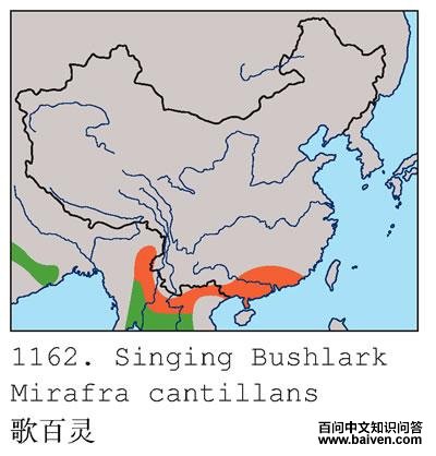 �����ĵ����ֲ�ͼ