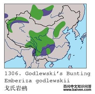 �������c�ĵ����ֲ�ͼ