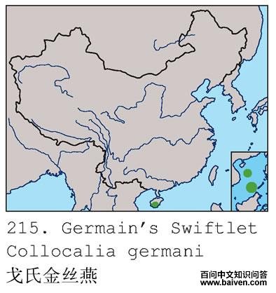 ���Ͻ�˿��ĵ����ֲ�ͼ