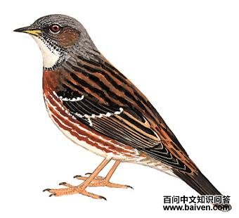 ��ԭ���ҵ�ͼ��