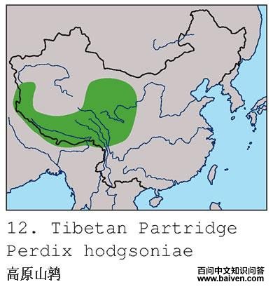 ��ԭɽ�ȵĵ����ֲ�ͼ