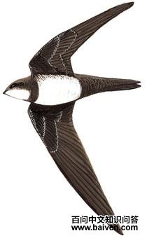 ��ɽ�����ͼ��