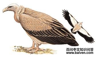 ��ɽأ�յ�ͼ��